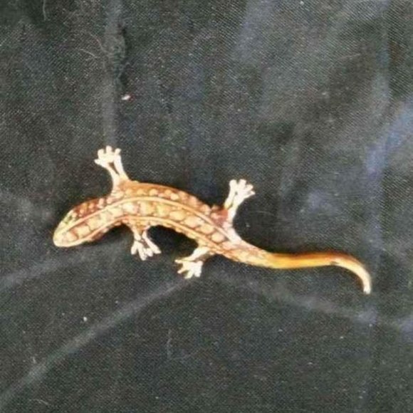 VTG PERIOD STYLE LIZARD BROOCH BROWN GLAZED ENAMEL WITH GREEN RHINESTONE EYES - Picture 5 of 5